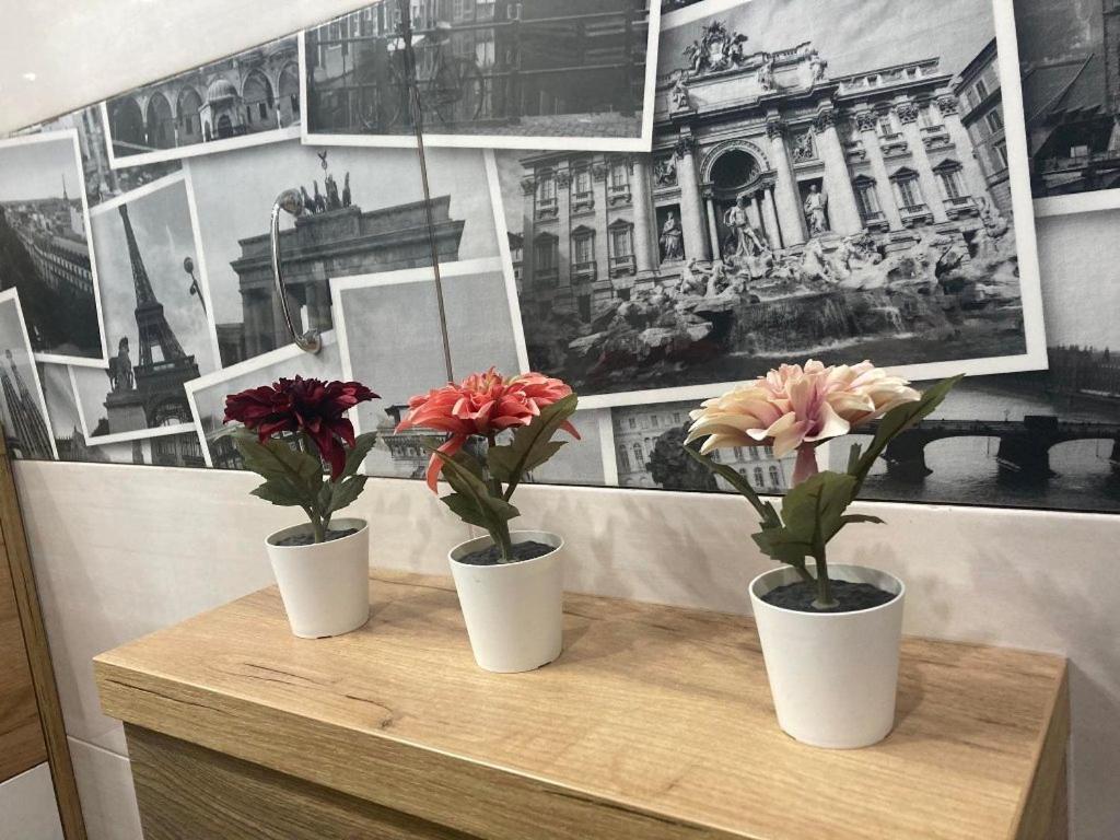 Apartament Tuz Za Rogiem Zamku 马尔堡 外观 照片